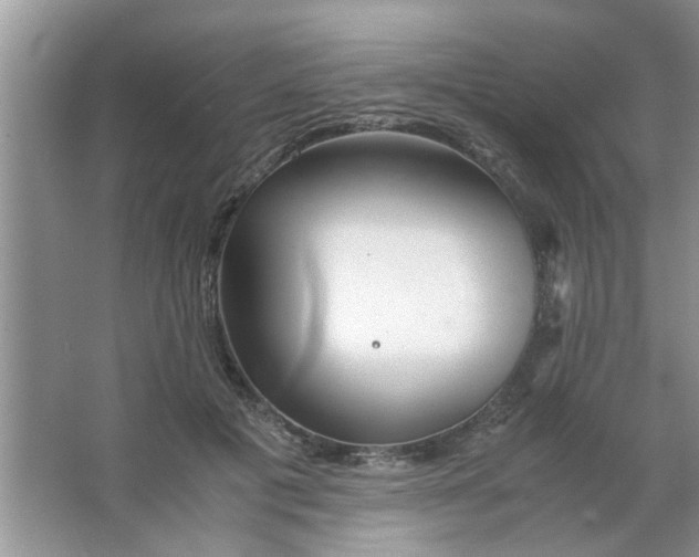 X0000063520601200602101953