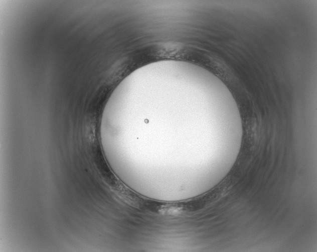 X0000063520602200602101953