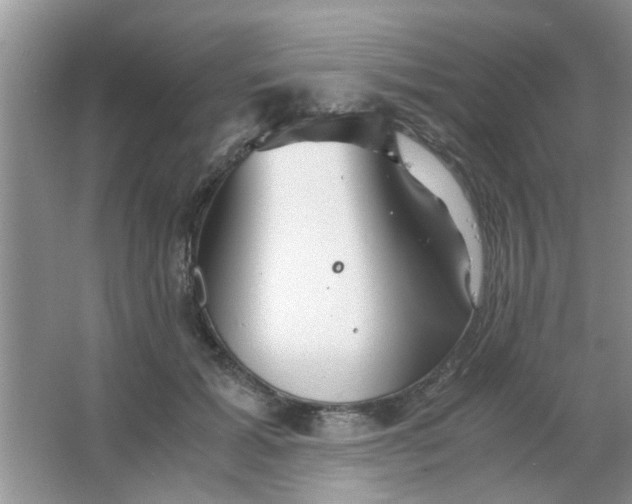 X0000063520605200602101953