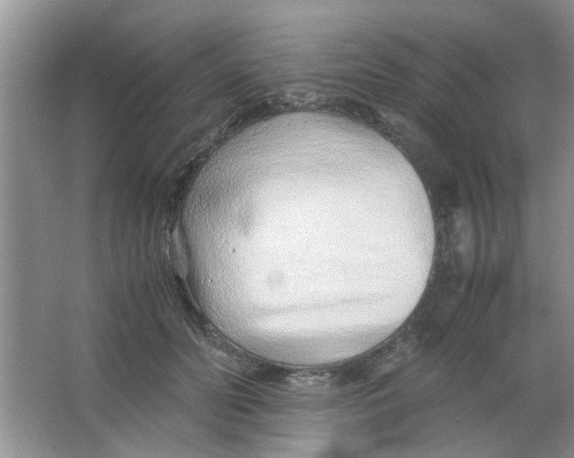 X0000063520606200602101953