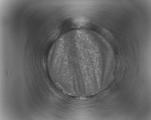 X0000063520607200602101953