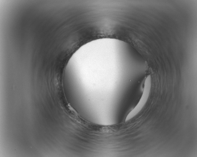 X0000063520608200602101953