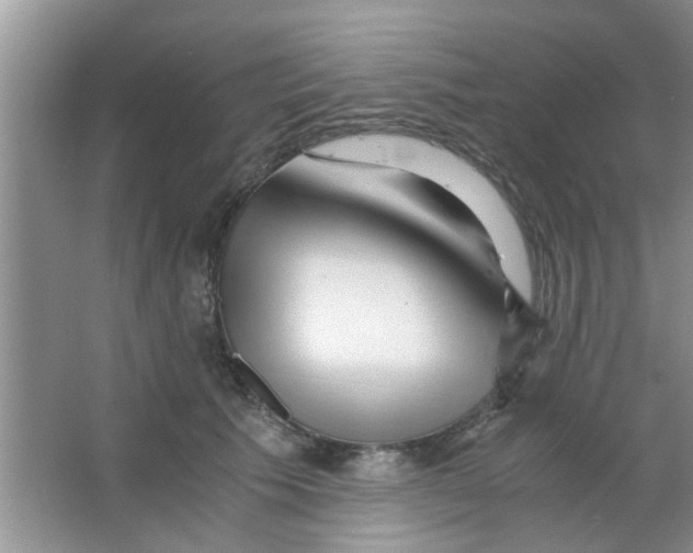 X0000063520609200602101953