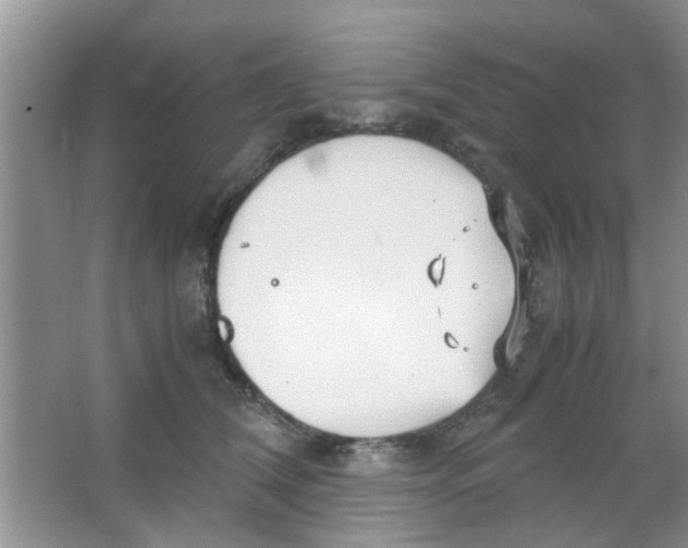 X0000063520612200602101953