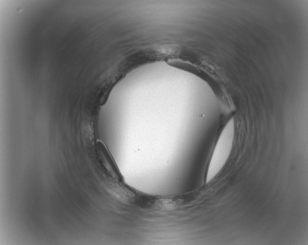 X0000063520613200602101953