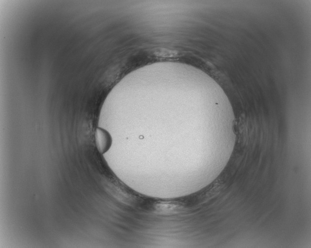 X0000063520614200602101953