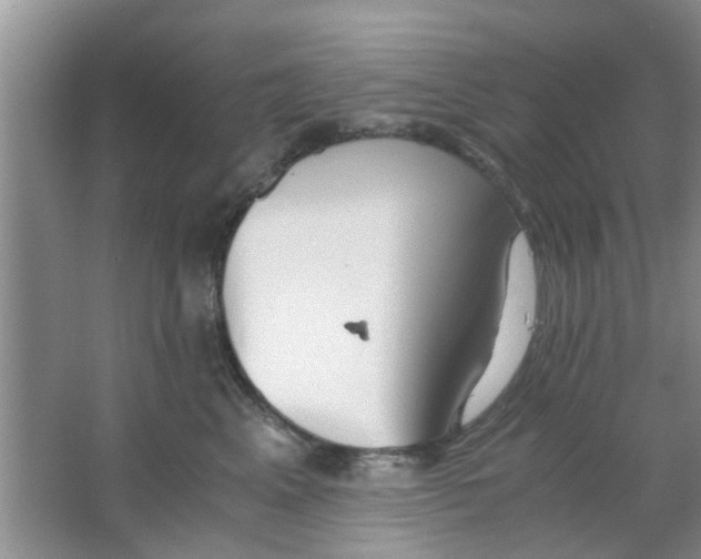 X0000063520617200602101953