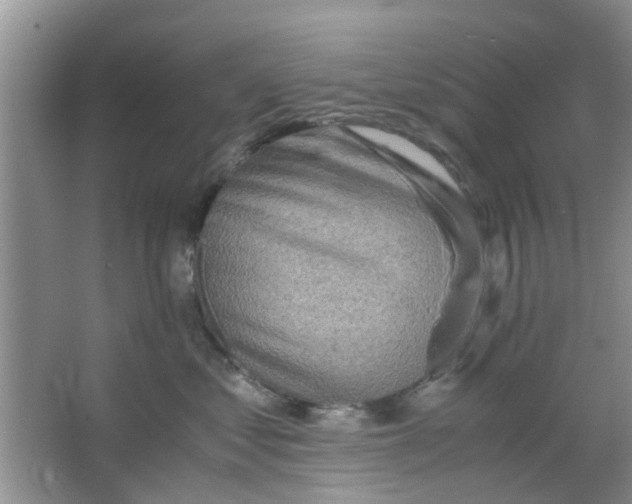 X0000063520621200602101953