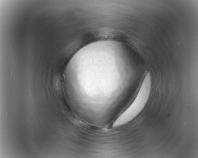 X0000063520623200602101953