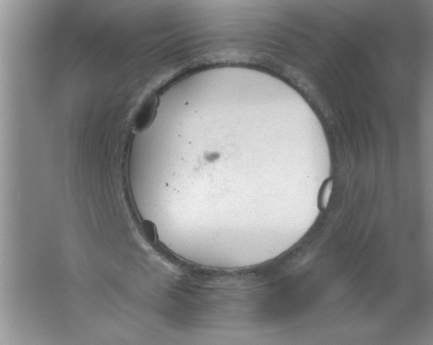 X0000063520625200602101952