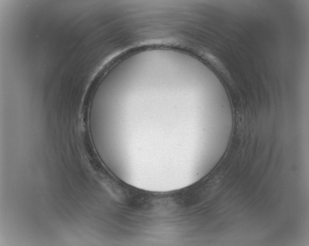 X0000063520628200602101952