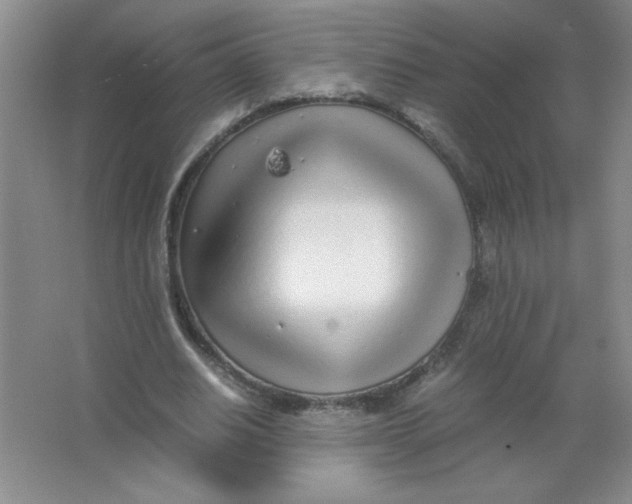 X0000063520630200602101952