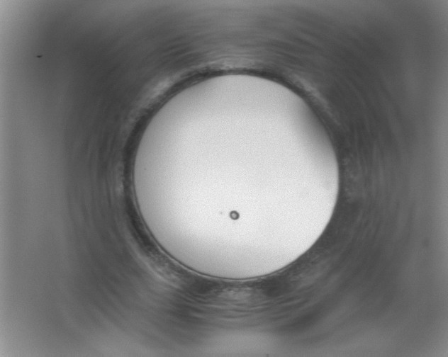 X0000063520631200602101952