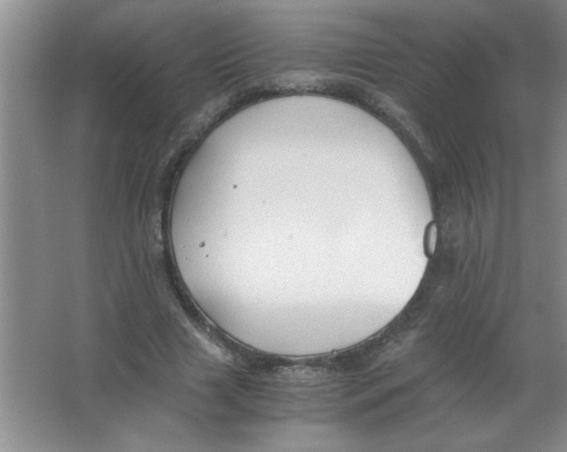 X0000063520633200602101952