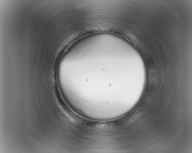 X0000063520634200602101952