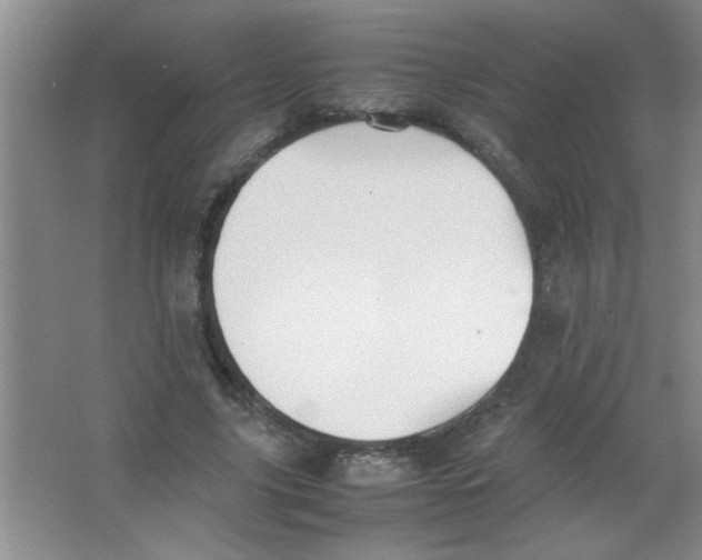 X0000063520635200602101952