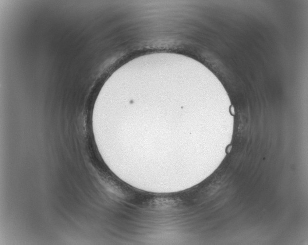 X0000063520636200602101952