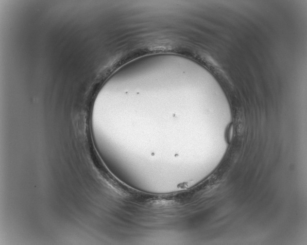 X0000063520637200602101952