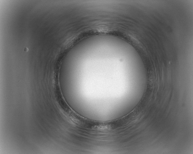 X0000063520639200602101952