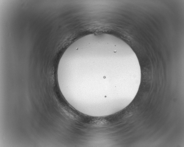 X0000063520642200602101952