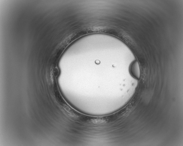 X0000063520644200602101952