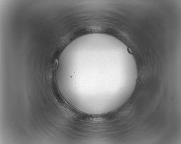 X0000063520645200602101952