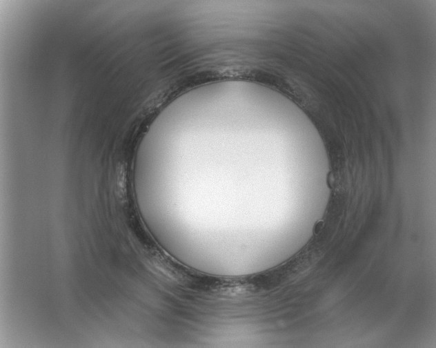 X0000063520646200602101952