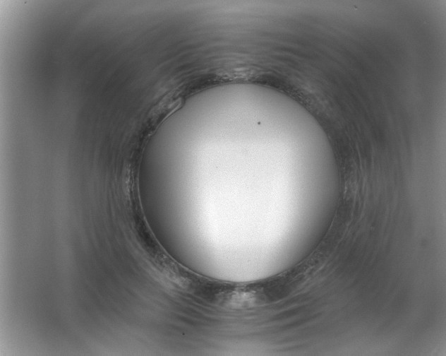 X0000063520647200602101952