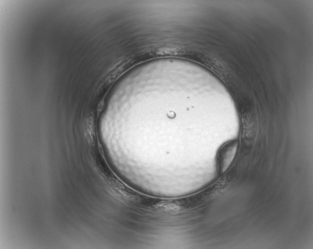 X0000063520648200602101952