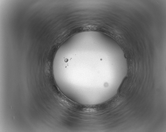 X0000063520649200602101952