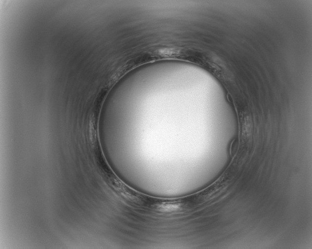 X0000063520651200602101952