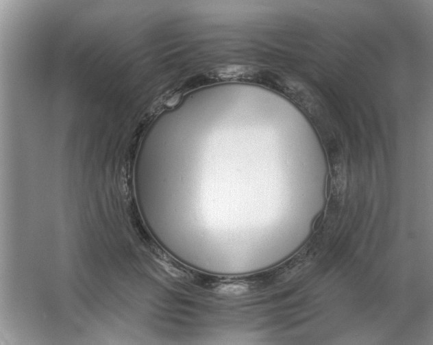 X0000063520653200602101953