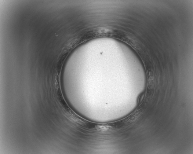 X0000063520654200602101953