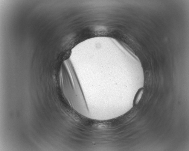 X0000063520655200602101953