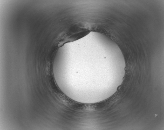 X0000063520656200602101953