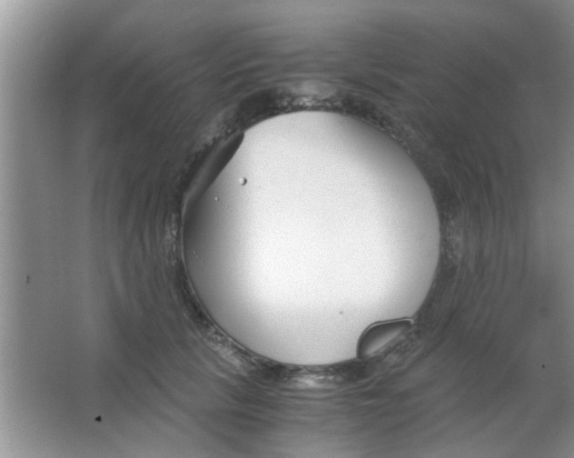 X0000063520657200602101953