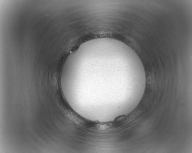 X0000063520662200602101953