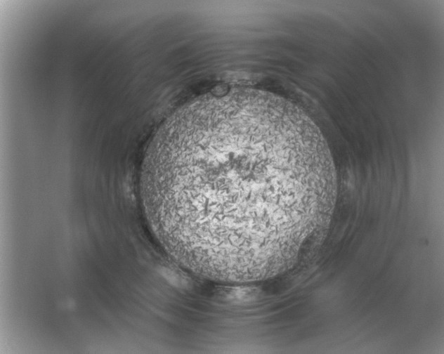 X0000063520663200602101953