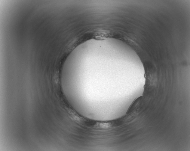 X0000063520665200602101953