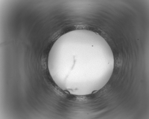 X0000063520666200602101953