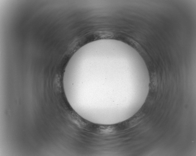 X0000063520667200602101953