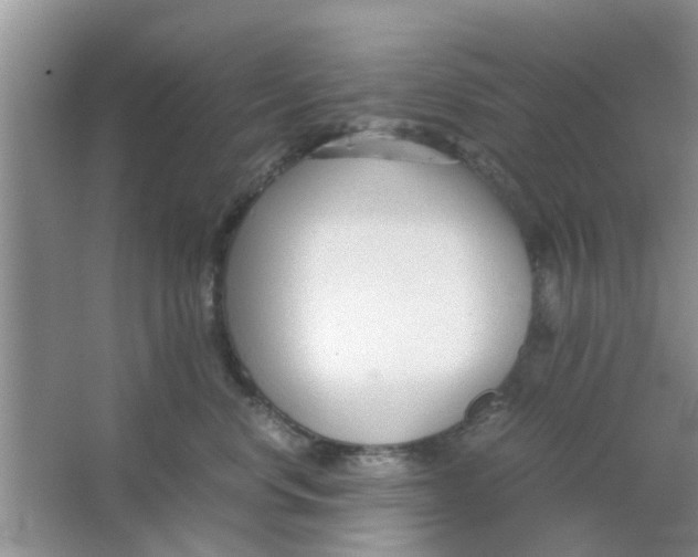 X0000063520668200602101953