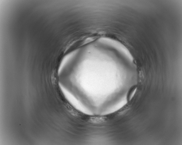 X0000063520671200602101953