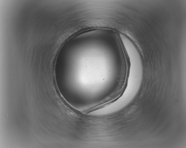 X0000063520673200602101952