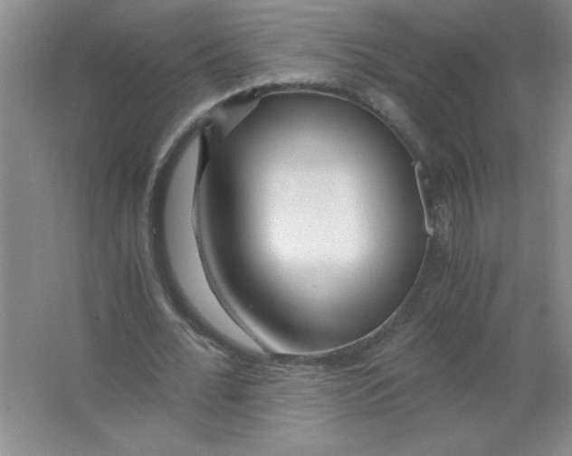 X0000063520676200602101952