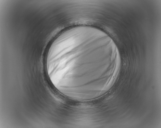 X0000063520678200602101952