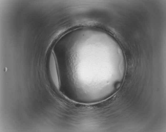 X0000063520679200602101952