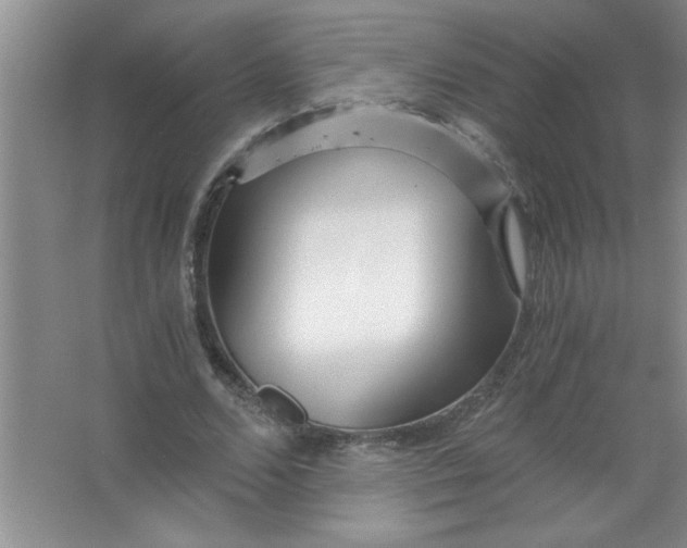 X0000063520680200602101952