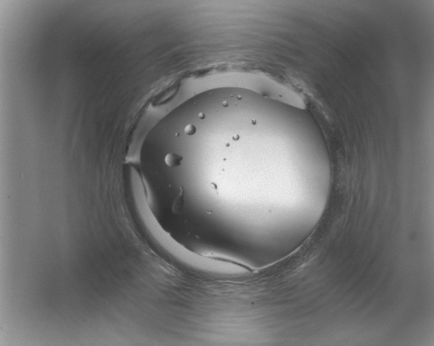 X0000063520681200602101952