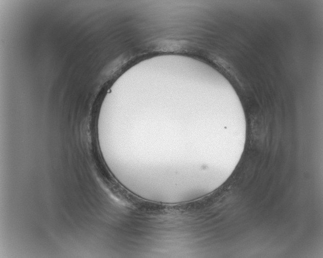 X0000063520682200602101952